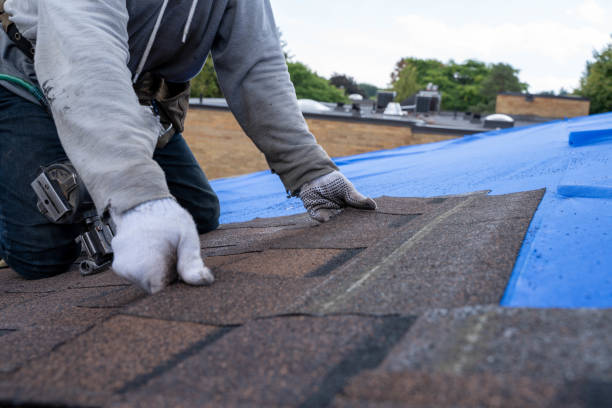 Roof Waterproofing Services in Shell Ridge, CA