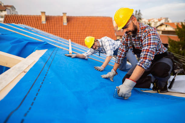 Best Roof Leak Repair  in Shell Ridge, CA