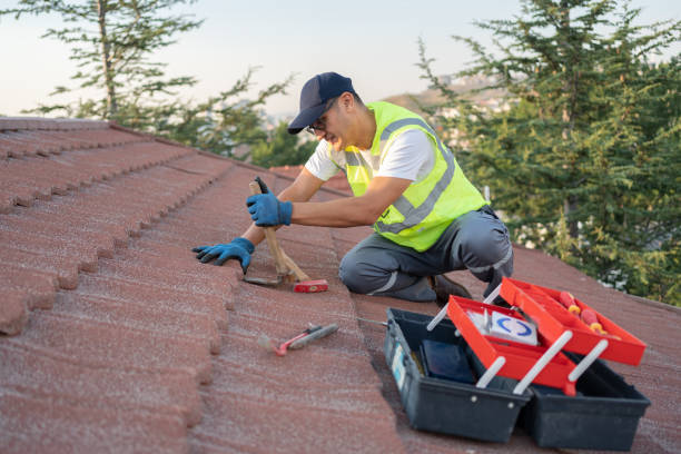 Best Local Roofing Companies  in Shell Ridge, CA