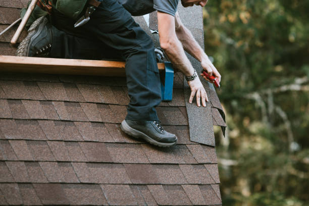 Best Roof Gutter Cleaning  in Shell Ridge, CA